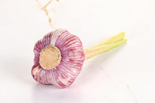 RawJoy Organic Fresh Purple Garlic by Farms