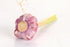 RawJoy Organic Fresh Purple Garlic by Farms