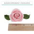 14-Piece Set (5 9 Global Sugar Art Wedding Cake Decorations Premium, Realistic Pink Sugar Flower Cake Topper Roses