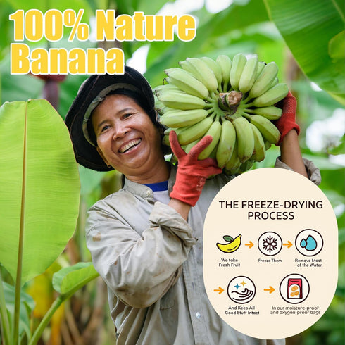 Egcina 6oz (6oz) Freeze Dried Bananas Crispy Banana Chips, Lightly Sweetened Fruit Snack Resealable Bag for Smoothies