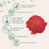 8 Sustainably US Grown, Organic Cranberry Juice Powder (Wild Cranberry Supplements Cold Pressed), Ounce | Supports