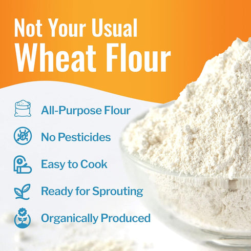 100% 5 lbs Grand Teton Ancient Grains - Organic All-Purpose Einkorn Flour, Einkorn Flour Organic & Non-GMO, Einkorn