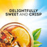 22 (Pack 6) Lipton Family-Sized Black Iced Tea Bags, Southern Sweet Tea ct