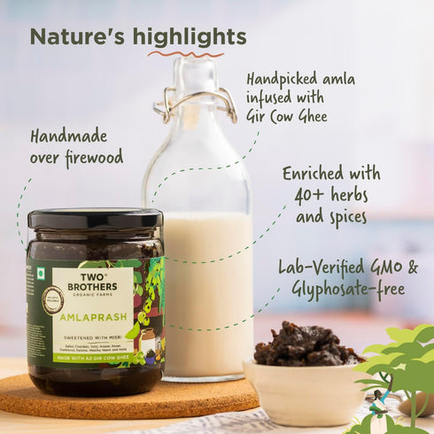 Amla Immunity 40+ A2 500gm (17.6 Oz) Chyawanprash with | Boost & Rejuvenation , Anti Oxidant Rich , Supports Digestion