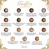 16 Count CRAVINGS BY ZOE Chocolate Truffles Birthday Gift Box | | Chocolate Candy Gifts | Gourmet Assorted Chocolate