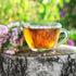Jovvily Hyssop Herb - 4 oz Cut & Sifted Herbal Tea