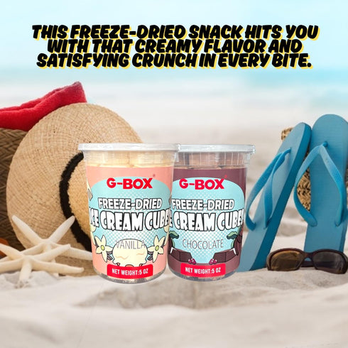 2.5 oz| (2.5 OZ, G-BOX Freeze Dried Ice Cream Cubes, Vanilla Flavor, Freeze Dried Camping Food, NASA Space Dessert