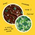 Supernatural Into the Woods Natural Confetti - Tree Sprinkles, No Artificial Dyes, Vegan, 3oz