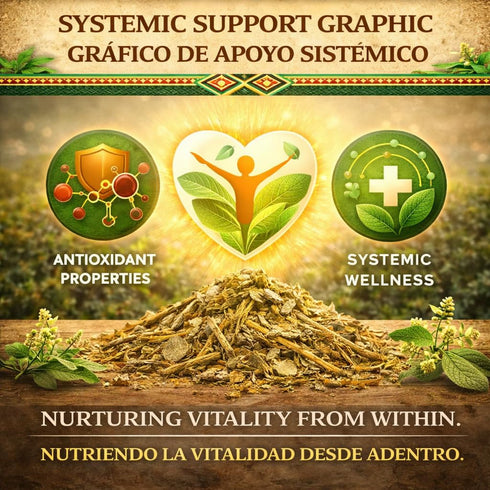 (4 oz) 100% Moronel Herbal Tea - Premium "Planta de la Vida" (Synadenium grantii) - Wildcrafted Loose Leaf Tea from