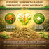 (4 oz) 100% Moronel Herbal Tea - Premium "Planta de la Vida" (Synadenium grantii) - Wildcrafted Loose Leaf Tea from