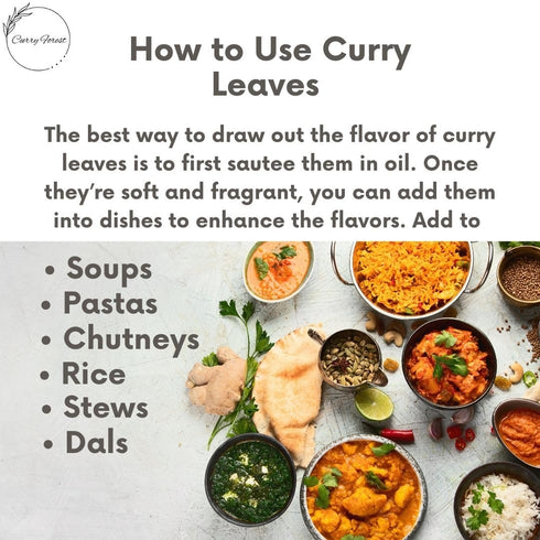 Leaves-100% Dried-10-15 CurryForest Premium Dried Curry Natural, Pesticide-Free Whole Leaves, USA Grown, Air g