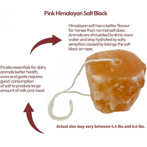 4.4-6.6 Lbs (1 Pack) 100% RoyalHouse Himalayan Salt Lick for Horses, Deer, Goats, and Livestock Salt Block on Rope