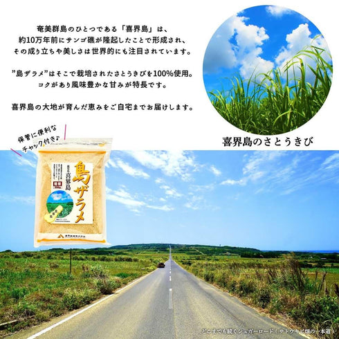 JP 500g (Pack 2), Satsunan Sugar Shima Zarame Kikai Island Granulated Sugar of Japanese Unrefined Raw Sugar made