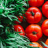 28 oz (3 Pack) Pastene"Kitchen Ready" Ground Peeled Tomatoes
