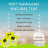 Hawaiian Natural Passion Fruit Orange Flavored Organic Tea - Tropical Fruit Green & Black Tea Blend, 20 Bags, Perfect