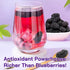 SYZJMWDY Mulberries, 8.82oz/250g Mulberry, Dried Black No Sugar Added Black Dried Fruit, Hand Picked Sun-dried