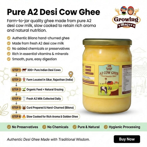 Growing Villagers A2 16.9 oz (500ml) A2 Cow Ghee fl Glass Jar | Traditional Bilona Method Cultured Desi Ghee | Made