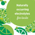 16.9 oz. 8 Count Ice Mountain Sparkling Water, Zesty Lime, Bottles
