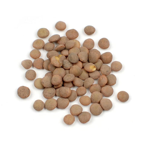Organic Brown Lentils, 10 lb USDA Certified Whole Dried Lentils, Nutty Flavor