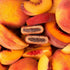 Nature's Bakery 1- 12 Count 2 oz Packs (12 Packs), Whole Wheat Fig Bars, Peach Apricot, Box of Twin Vegan Snacks