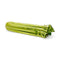 Fresh Produce Celery Bunch