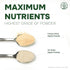 5 Jungle Powders Organic Apple Powder Ounce Bag Apple Extract for Baking, Smoothies, Seasoning - Organic Freeze Dried