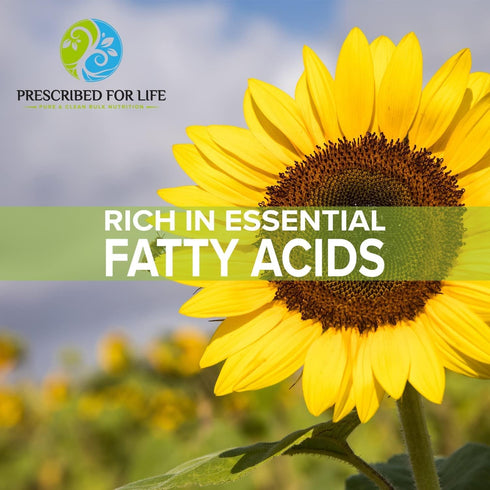 Prescribed For Life Sunflower Lecithin Powder, 4oz - Unbleached, Gluten Free, Vegan, Non GMO