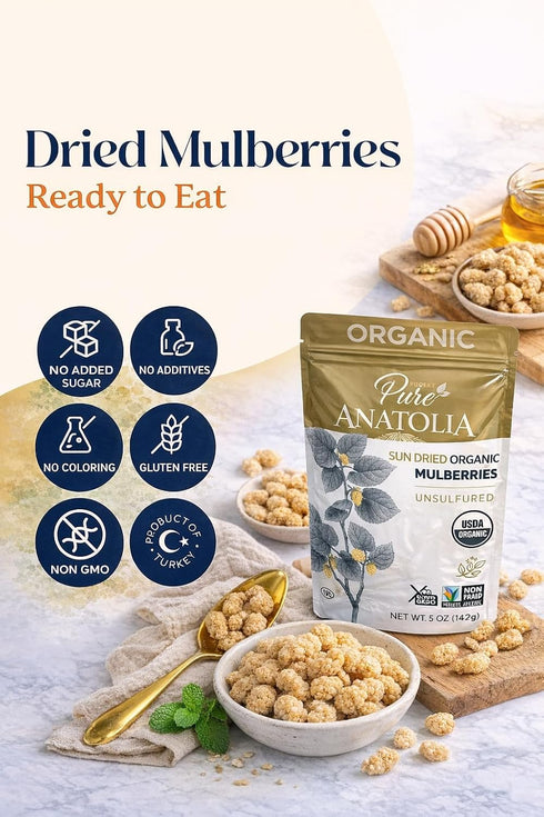 Mulberries Mulberries Mulberry 5 oz 6 Pack Pure Anatolia Organic Sun Dried - Dried White from Turkey - Organic White