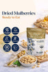 Mulberries Mulberries Mulberry 5 oz 6 Pack Pure Anatolia Organic Sun Dried - Dried White from Turkey - Organic White