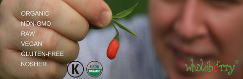 32oz| Wholeberry organic wolfberry gouqi Goji berries Raw, Vegan, Gluten Free Super food High in Plant Based Protein