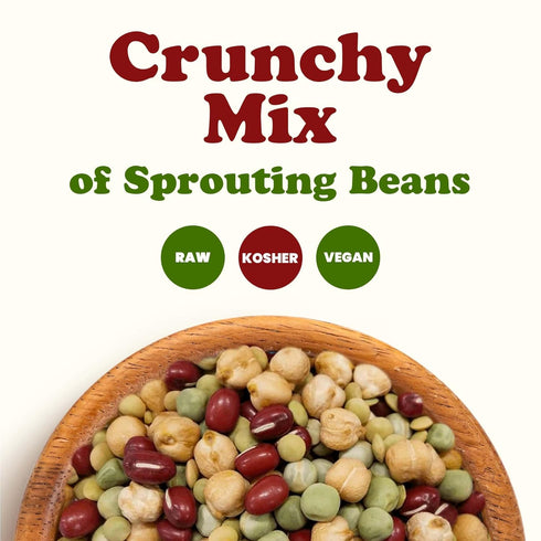 1 Crunchy Mix of Sprouting Bean Seeds, Pound Green Peas, Adzuki, Lentils, Garbanzo, Kosher, Raw