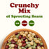 1 Crunchy Mix of Sprouting Bean Seeds, Pound Green Peas, Adzuki, Lentils, Garbanzo, Kosher, Raw