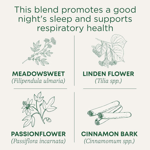 16 Traditional Medicinals Tea, Organic Herbal Cold Care, Providing Soothing Comfort, Tea Bags