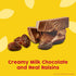 8.0 oz 8 pack Raisinets, Milk Chocolate Covered California Raisins, Resealable Bag, Bulk