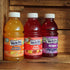 Ready Set Gourmet Pack 2 Pack (10oz 24pk Welch's Variety - Orange Pineapple, Grape and Fruit Punch - No Preservatives
