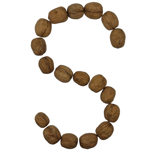 Smarty Stop (5 (Pack 1)) Raw Walnuts in Shell Pound