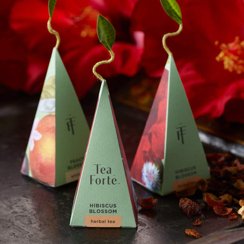 Set 10 Count, 2 Tea Forte Premium Petite Presentation Box Gift Sampler, of Each Blend Individually Wrapped Handcrafted