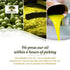 2022/23 24.5 Oz (Pack 1) Frantoi Cutrera - Segreto Degli Iblei - Extra Virgin Olive Oil - Sicilian D.O.P Certified