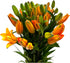 19 Orange Fresh cut Lily Flowers | Send Flower Food |Hydroponics Flower Arrangement Flower Gifts Birthday Flowers