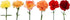 50 Pack FlowerPrime Fall or Autumn Carnations - Fresh Natural Cut Flowers Special Holiday Variety