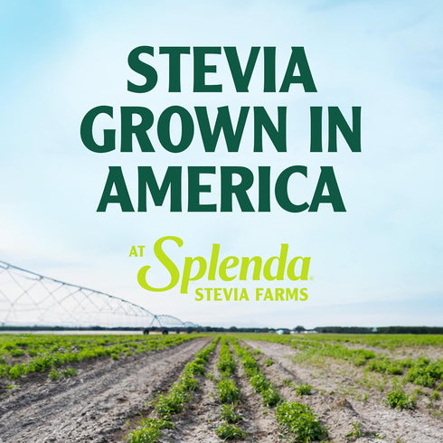 SPLENDA Stevia Zero Calorie Sweetener, Plant Based Granulated Powder for Baking, 9.7oz Resealable Pouch