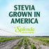 SPLENDA Stevia Zero Calorie Sweetener, Plant Based Granulated Powder for Baking, 9.7oz Resealable Pouch