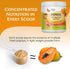 20:1 (13 oz) Papaya Juice Powder with Natural Papain Digestive Enzyme - Concentrated & Freeze Dried Organic Papaya