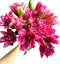 5 Stems Fresh Cut Double Lilies Long Lasting Fragrance Suitable for Hydroponic
