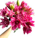 5 Stems Fresh Cut Double Lilies Long Lasting Fragrance Suitable for Hydroponic