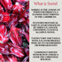 Joy's Island Spice 25oz SORREL HIBISCUS ELIXIR - Non-Alcoholic Cocktail Mixer & Mocktail - Caribbean Botanical Aperitif
