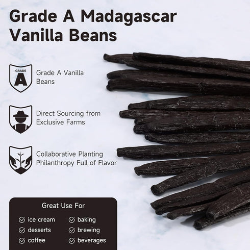 5" 7" 25 Counts SPICEEL Madagascar Vanilla Beans Grade A Vanilla Pods for Making Extract, Whole - Vanilla Beans