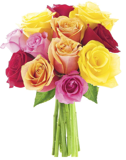 KaBloom - 12 Assorted Roses without vase - Fresh Flowers for Birthday,