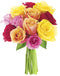 KaBloom - 12 Assorted Roses without vase - Fresh Flowers for Birthday,
