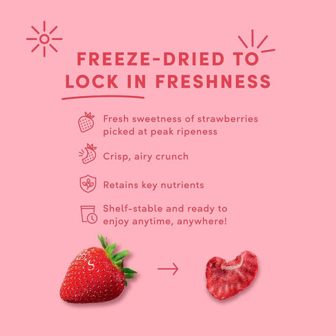 3.4 OZ Tru Fru Hyperdried Strawberry in Dark Chocolate